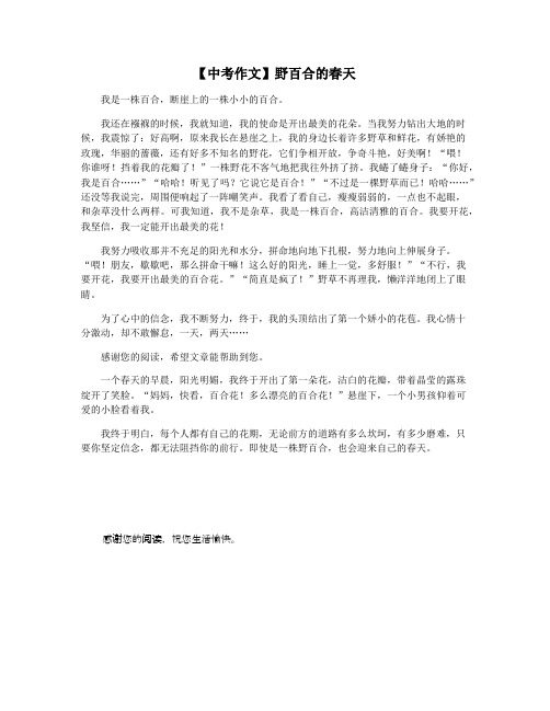 【中考作文】野百合的春天