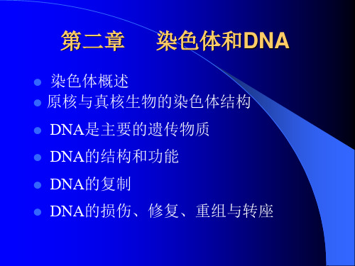 现代分子生物学课件-第二章解析