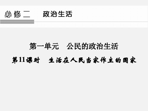 高考政治 一轮复习 公民的政治生活(第11课时)生活在人民当家作主的国家 新人教版必修2