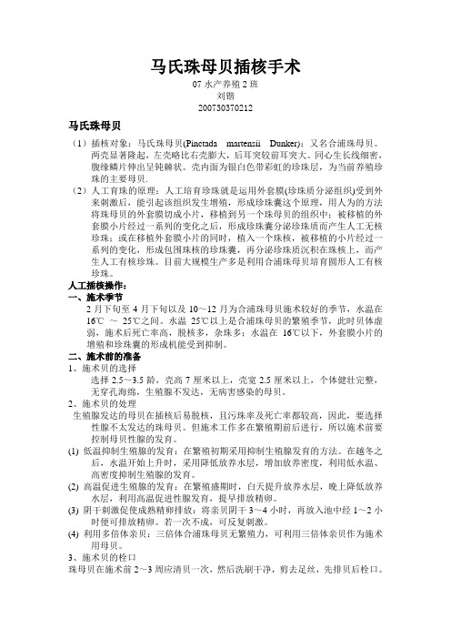 马氏珠母贝插核操作
