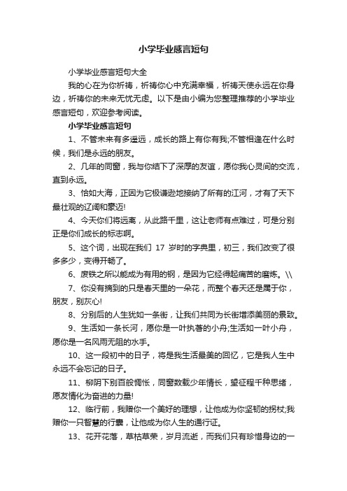 小学毕业感言短句大全