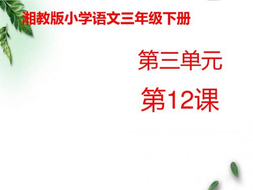 最新湘教版小学语文三年级下册《短文两篇》公开课课件第一课时