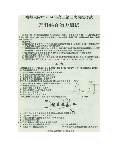 黑龙江省哈师大附中2014届高三第三次高考模拟考试 理科综合(扫描版含答案)