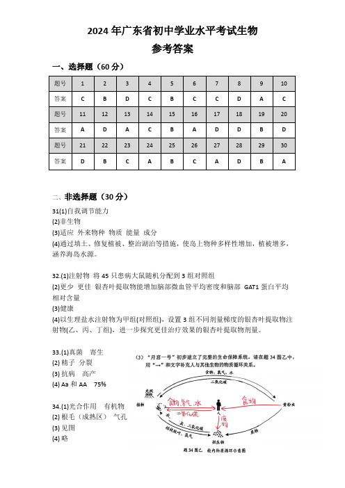 2024年广东省初中学业水平考试生物-参考答案