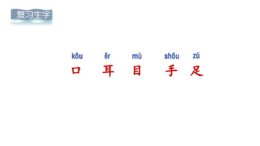 人教部编一年级语文上册 第一单元 识字3 口耳目手足 第二课时