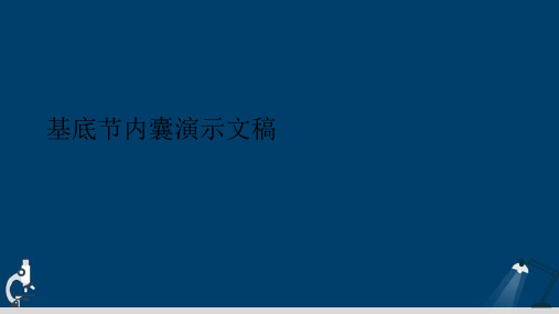 基底节内囊演示文稿