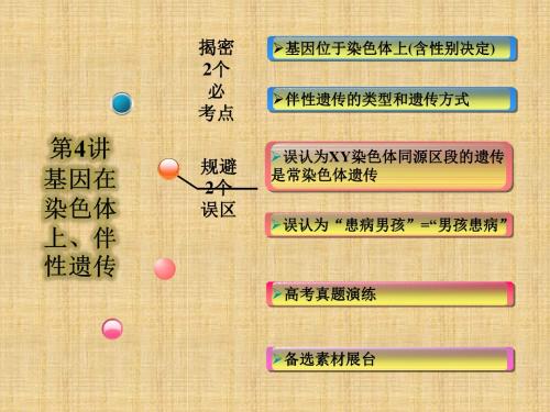 2018年学习基因在染色体上伴性遗传课件PPT