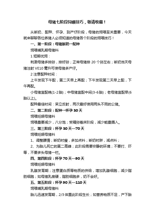 母猪七阶段饲喂技巧，敬请收藏！