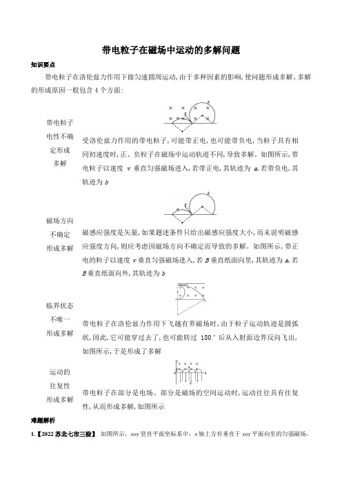 02带电粒子在磁场中运动的多解问题-高考物理磁场压轴综合题详解(解析版)