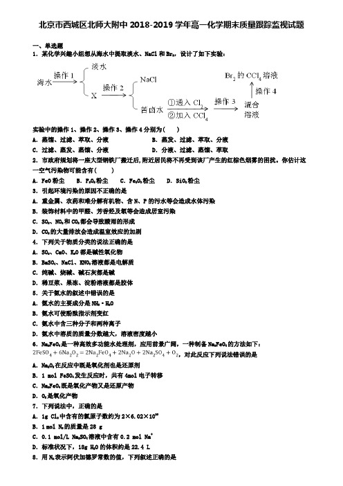 北京市西城区北师大附中2018-2019学年高一化学期末质量跟踪监视试题