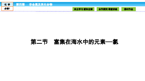 《金版新学案》2018-2019学年高中化学(人教版)必修1课件：第四章 非金属及其化合物 4.2