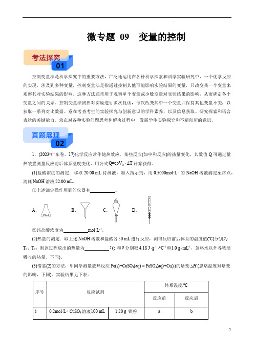 备战2025年高考化学实验常考微专题新考法(全国)微专题 09  变量的控制(解析版)