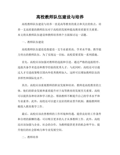 高校教师队伍建设与培养