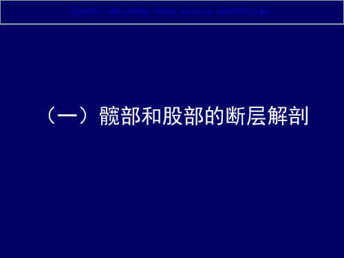 下肢的断层解剖断层解剖学课件