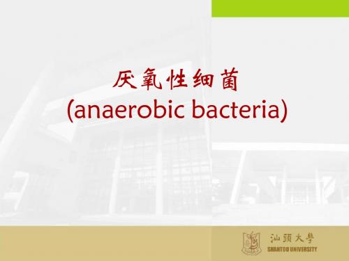 厌氧细菌anaerobicbacteria