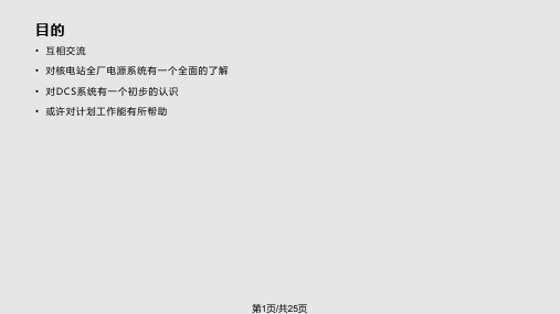 田湾核电站电源系统和仪控PPT课件