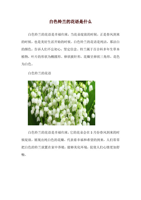 白色铃兰的花语是什么