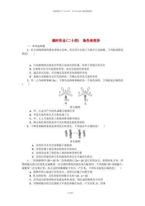 高考生物一轮总复习 课时作业(二十四)染色体变异