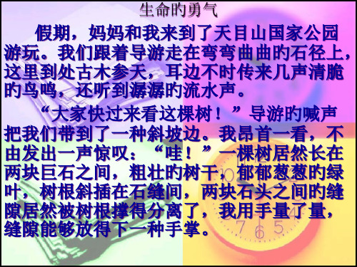 人教版语文四年级下册第五单元作文指导市公开课获奖课件省名师示范课获奖课件