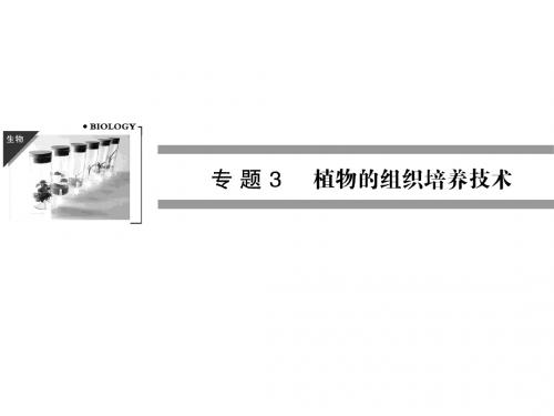 高二生物同步课件：3-1   菊花的组织培养(人教版选修I  40张)