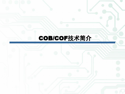 COB技术简介