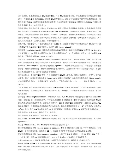 DNA转录极其后加工中重点名词含义