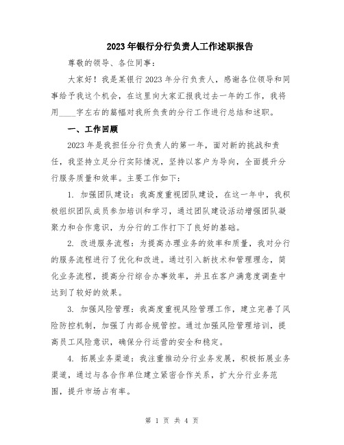 2023年银行分行负责人工作述职报告