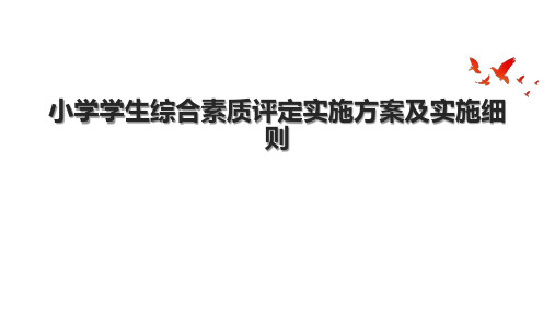 小学学生综合素质评定实施方案及实施细则