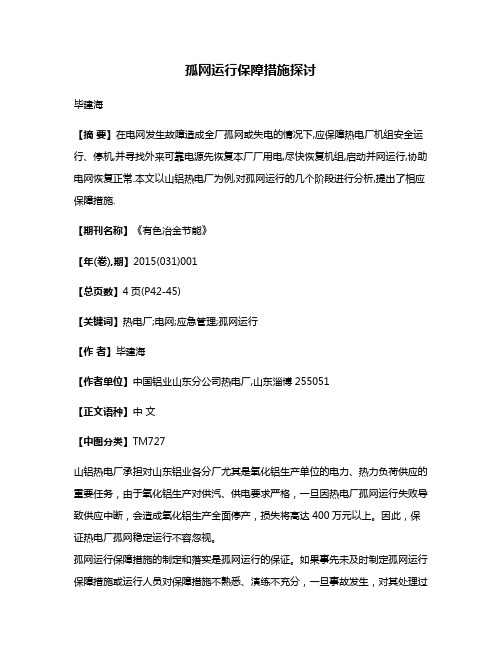 孤网运行保障措施探讨