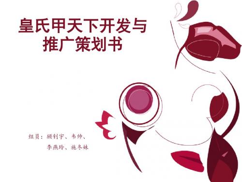 皇氏乳业媒体推广方案PPT