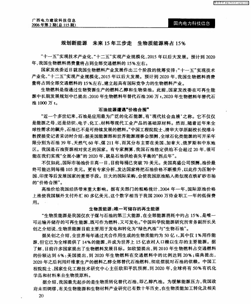 规划新能源 未来15年三步走 生物质能源将占15%