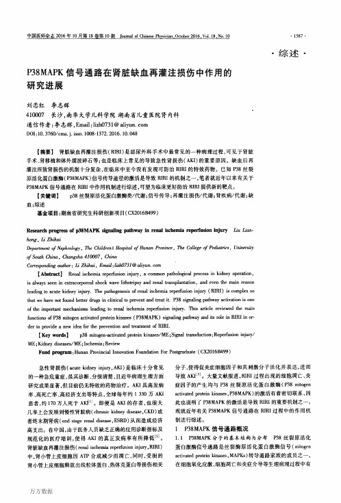 P38MAPK信号通路在肾脏缺血再灌注损伤中作用的研究进展论文