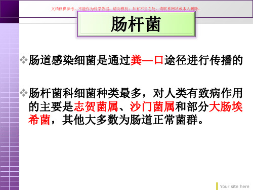 肠道感染细菌医学知识宣教培训课件