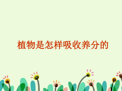 《 植物是怎样吸收养分的》1PPT课件