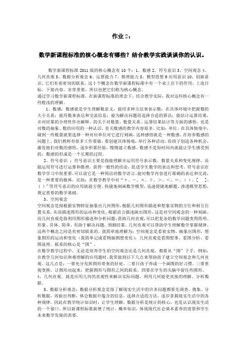 数学新课程标准的核心概念有哪些？结合教学实践谈谈你的认识