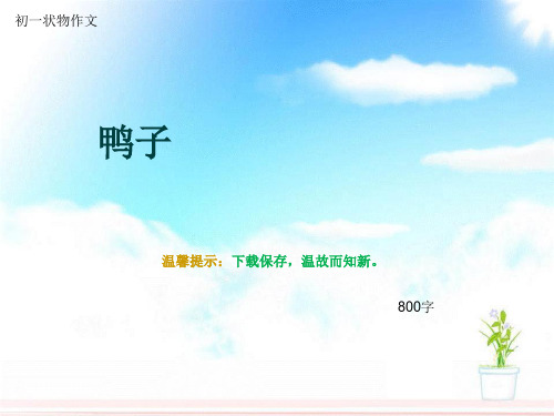 初一状物作文《鸭子》800字