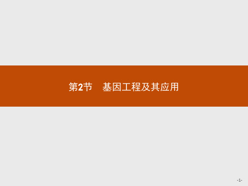 2019-2020学年高中生物人教版必修2配套课件:第6章 第2节 基因工程及其应用 .pptx