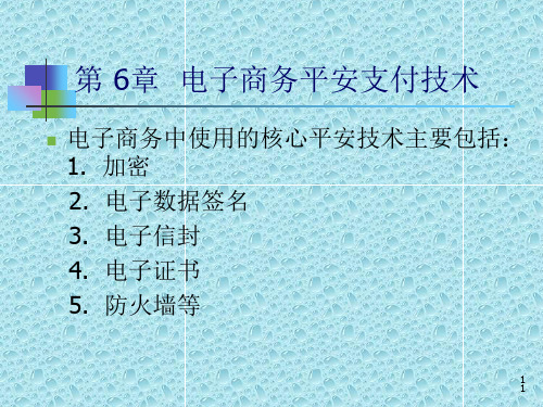 [其它]第六章 电子商务安全支付技术ppt课件