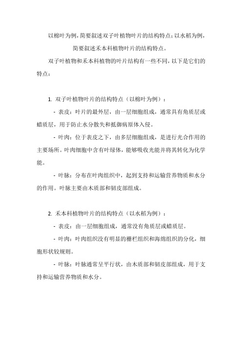 以棉叶为例,简要叙述双子叶植物叶片的结构特点;以水稻为例,简要叙述禾本科植物叶片的结构特点。