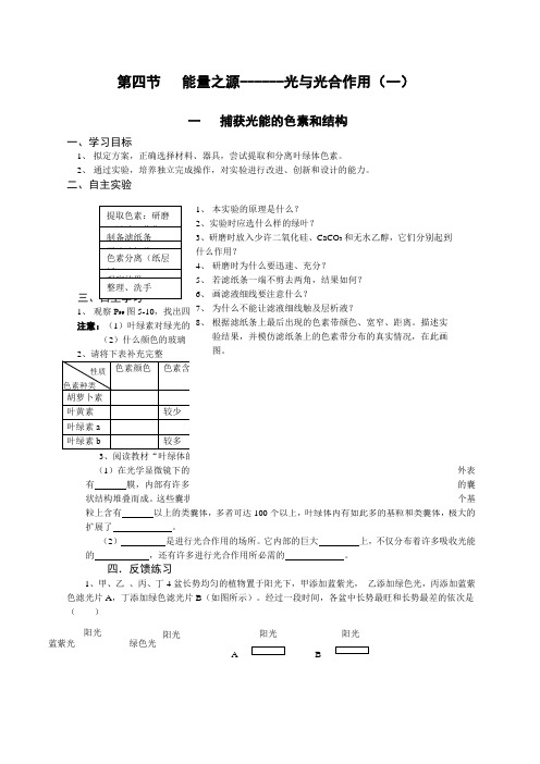 高中第四节能量之源：光与光合作用学案教案