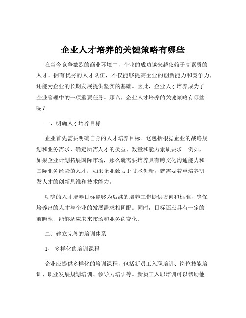 企业人才培养的关键策略有哪些