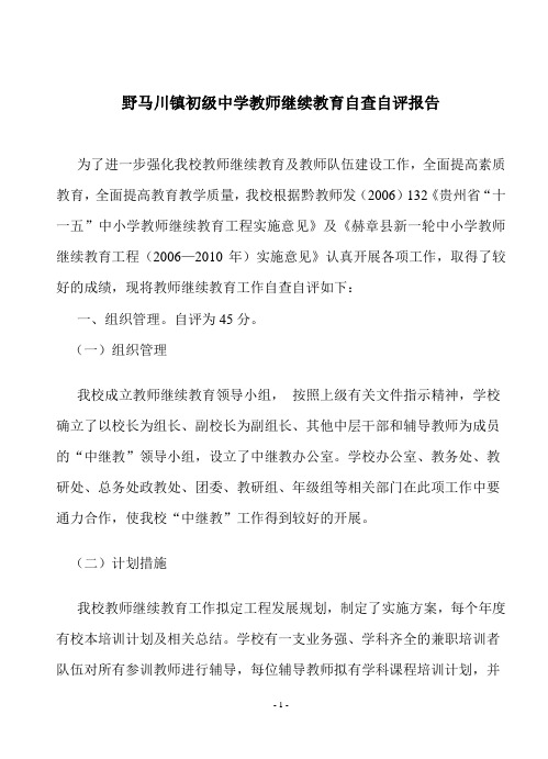 教师继续教育自查自评报告