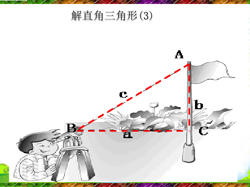 新浙教版九年级数学下册第一章《解直角三角形3》公开课课件