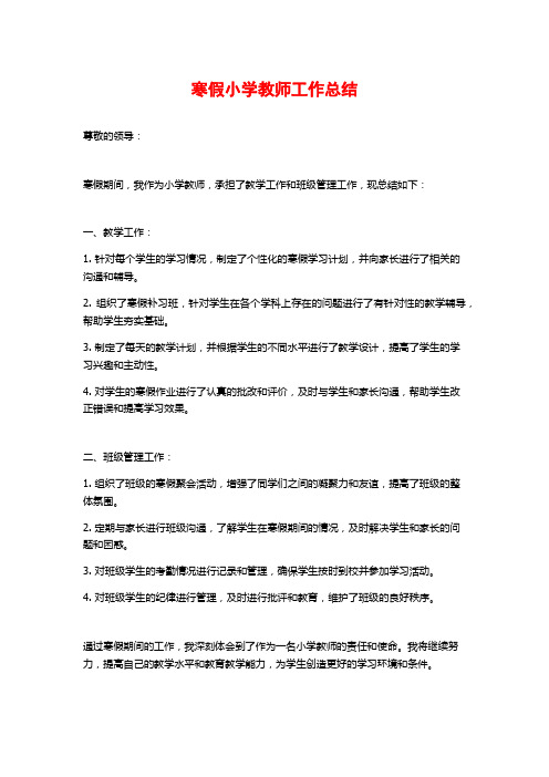 寒假小学教师工作总结