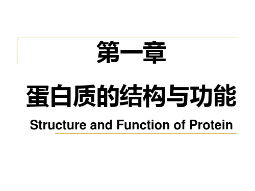 生物化学 第一章 蛋白质的结构与功能