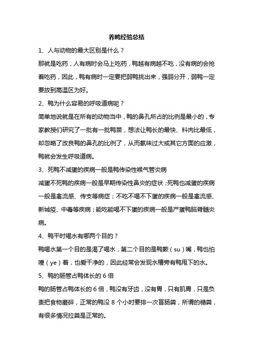 养鸭经验总结