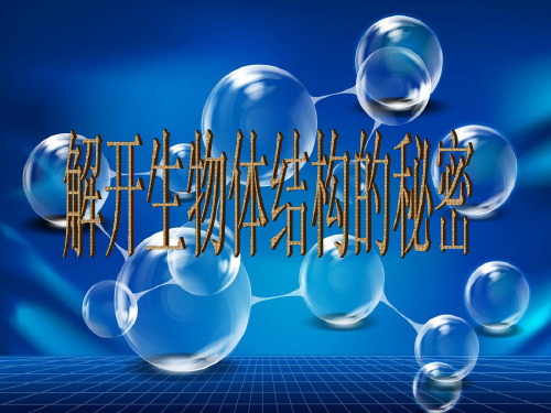 (完整)五级下册科学课件- 解开生物体结构的秘密｜湘教版精品PPT资料精品PPT资料