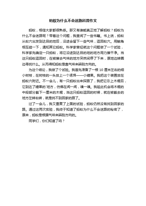 蚂蚁为什么不会迷路科普作文