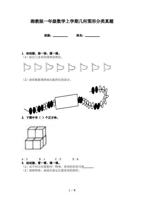 湘教版一年级数学上学期几何图形分类真题