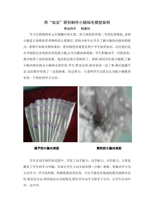 自制小肠绒毛模型
